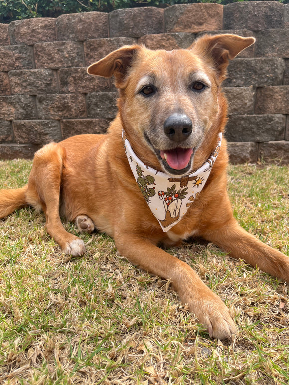 Aussie Country Christmas Dog Bandana