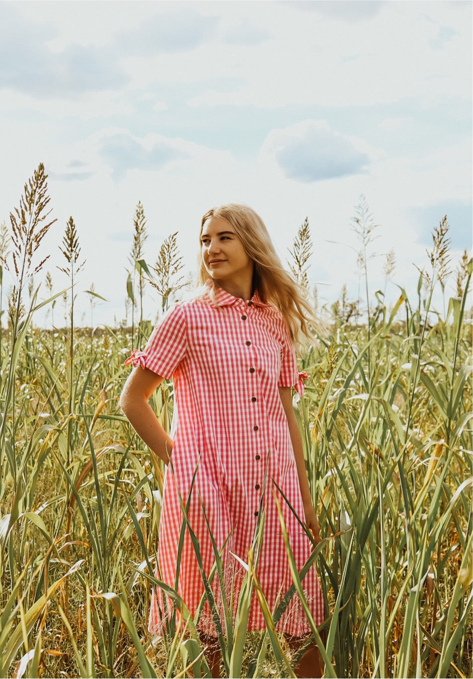 Pink Gingham Button Dress